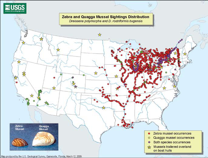 Invasive mussel distribution US map from New Mexico Wildlife Curriculum lesson on aquatic aliens.