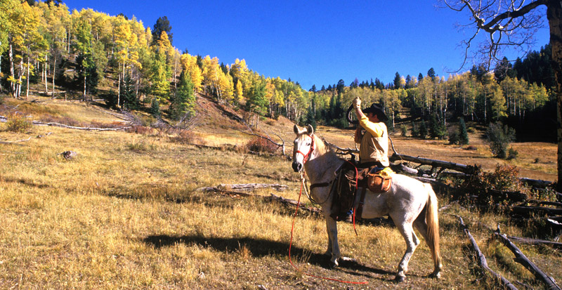 New Mexico’s State Game Commission Lands also provide public access for wildlife-associated recreation through the Gaining Access into Nature (GAIN) program. Potential GAIN activities include: wildlife viewing, photography, hiking, bicycling, cross-country skiing, snowshoeing, and horseback riding. (New Mexico Department of Game and Fish)