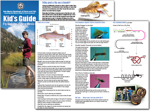 Kid's Guide: Fly Fishing in New Mexico (An education publication by New Mexico Department of Game and Fish)