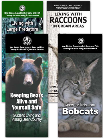 Download and print educational wildlife brochures (including Living with Large Predators in New Mexico, Keeping Bears Alive and You Safe!, Living with Raccoons in Urban Areas, Know the Facts about Bobcats) from New Mexico Department of Game and Fish publications.
