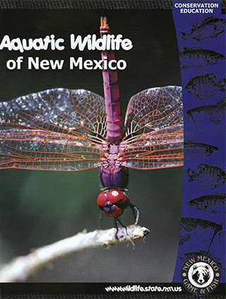 Aquatic Wildlife Coloring Book available free in print and PDF formats from Conservation Education, New Mexico Game and Fish