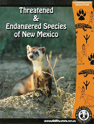 Endangered Species Coloring Book available free in print and PDF formats from Conservation Education, New Mexico Game and Fish