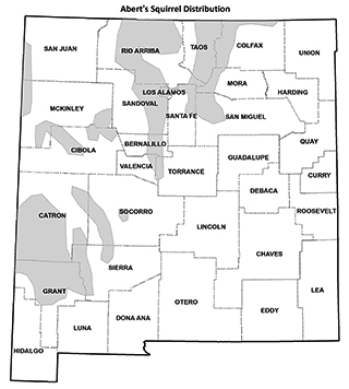 Abert's squirrel distribution map - (Hunting upland game, New Mexico Department of Game and Fish)