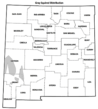 Arizona gray squirrel distribution map - (Hunting upland game, New Mexico Department of Game and Fish)