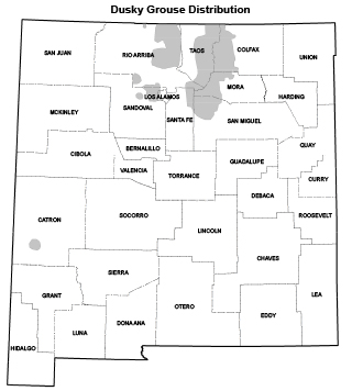 Dusky grouse distribution map - (Hunting upland game, New Mexico Department of Game and Fish)