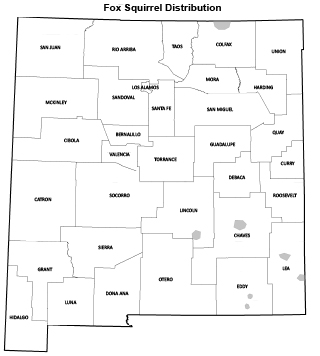 Fox squirrel distribution map - (Hunting upland game, New Mexico Department of Game and Fish)