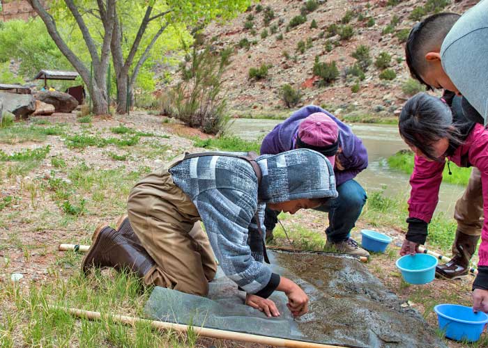 Española Valley students search for macroinvertebrates by the Rio Chama (Zen Mocarski).