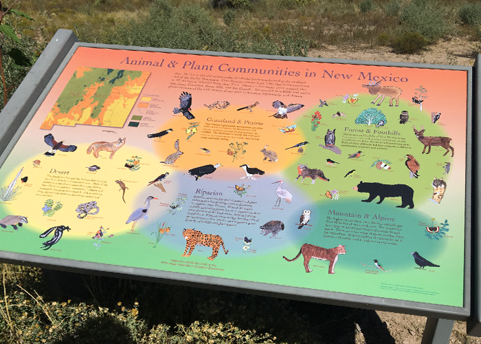 Share with Wildlife, New Mexico – Project Highlight: Rehabilitating Injured Wildlife