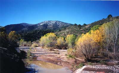 San Francisco River in the Gila National Forest - Low-Elevation Hunts for Bighorn Sheep - New Mexico Game & Fish 