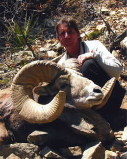  B. Neal Ainsworth, Jr. with New Mexico record Rocky Mountain bighorn sheep, taken on Taos Pueblo, in Taos County in 2005. (Photograph courtesy of B. Neal Ainsworth, Jr.) 