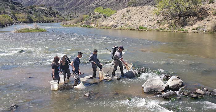 Students in conducting fish surveys on the Rio Grande. (Gone Fishing, Discover New Mexico - Wildlife Conservation Curriculum, New Mexico Dept. of Game and Fish)