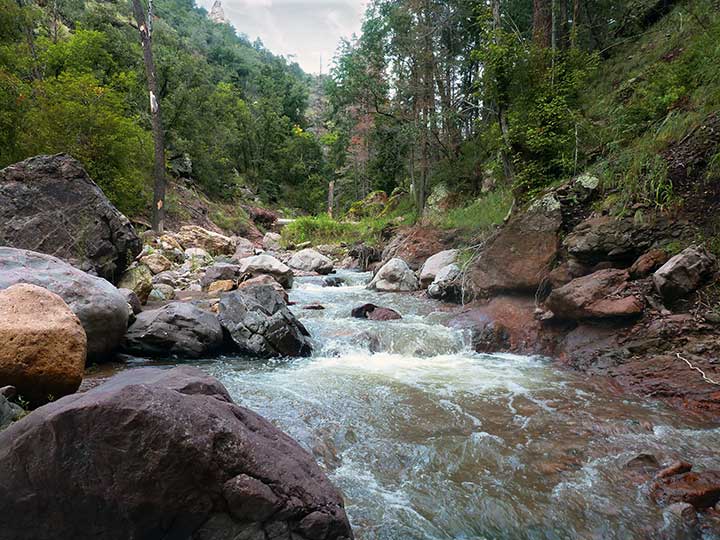 Trout habitat in Mineral Creek, a tributary to the San Francisco River in Catron County, NM. (photo NMDGF)