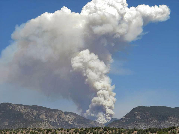 The Whitewater Baldy Fire burned through almost 300,000 acres of the Gila National Forest in spring 2012. (photo USFS-Gila National Forest)