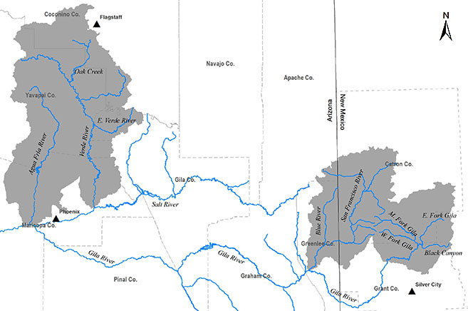 Historical distribution of Gila trout