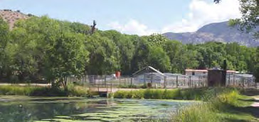 Glenwood Fish Hatchery near Silver City - New Mexico Department of Game & Fish