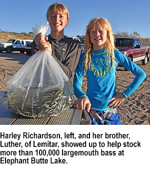 Bass fingerlings stocked at Elephant Butte and other lakes - New Mexico Game and Fish