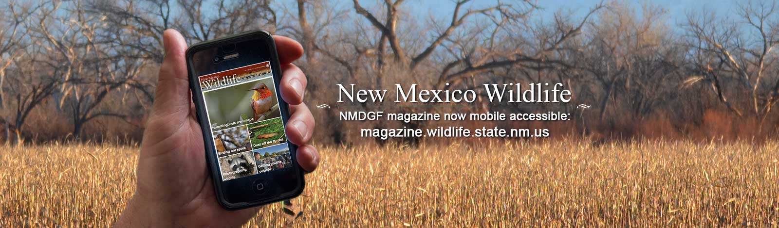 NMDGF New Mexico Wildlife magazine now available online magazine.wildlife.state.nm.us features Department activities, native wildlife and outdoor recreation, including hunting and fishing.