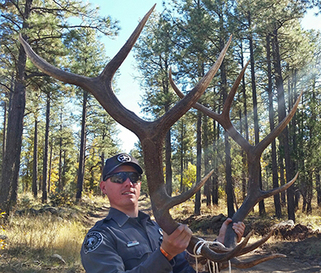 Illegal possession of elk antlers leads to stiff fine, news releases, New Mexico Department of Game and Fish