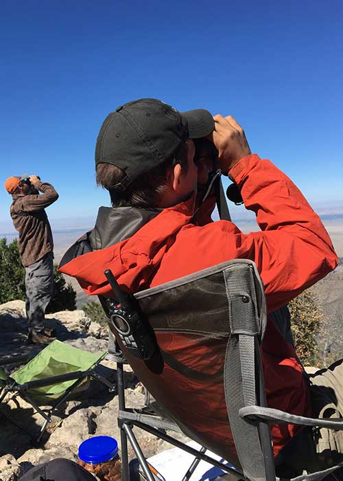 Share with Wildlife, New Mexico – Project Highlight: Raptor Migration Surveys