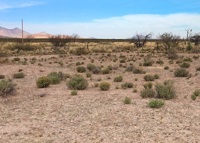 Share with Wildlife, New Mexico – Project Highlight: Finding a Needle in a Haystack