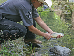 NMDGF News 9-20-2018 - Stocking Gila trout in Gwynn Tank is only one of many firsts for this species in Western New Mexico