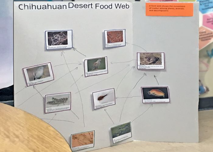 Share with Wildlife, New Mexico – Project Highlight: Teaching Science and Leadership Skills Simultaneously
