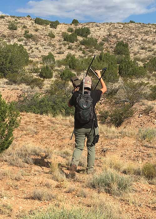 Gathering Data on Young Vireos- Project Highlight- Share with Wildlife, New Mexico Department of Game and Fish