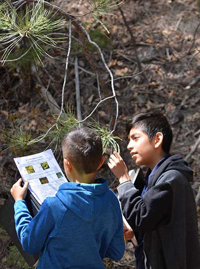 Creating A New Curriculum at Sandia Mountain Natural History Center