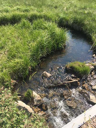 Assessing Aquatic and Riparian Habitat Connectivity in Northern New Mexico - Share with Wildlife – Project Highlight - NMDGF