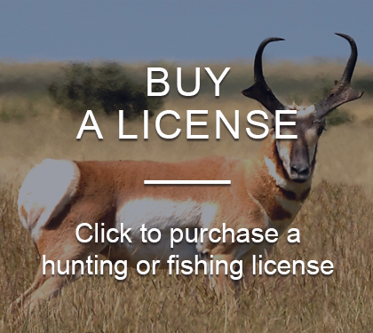 Purchase a hunting and fishing license. It’s easy and you don’t have to come to the office.