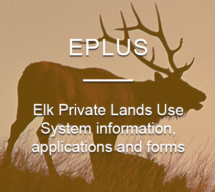 Participate in EPLUS: Elk Private Lands Use System with information, applications and forms.