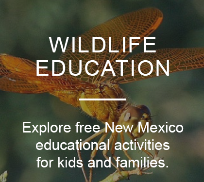 New Mexico educational activities for youth and families are available free for download: explore lessons