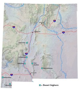Desert Bighorn Herd Locations - New Mexico Game & Fish state map