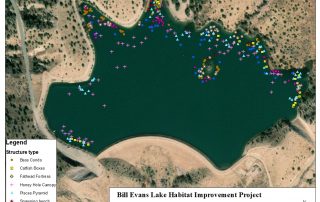 Bill Evans Lake habitat structure map.jpg